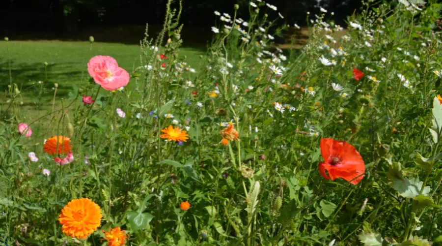 We Work Closely With Barnsley Council To Make Sure Your Estate Is Clean And Well Kept