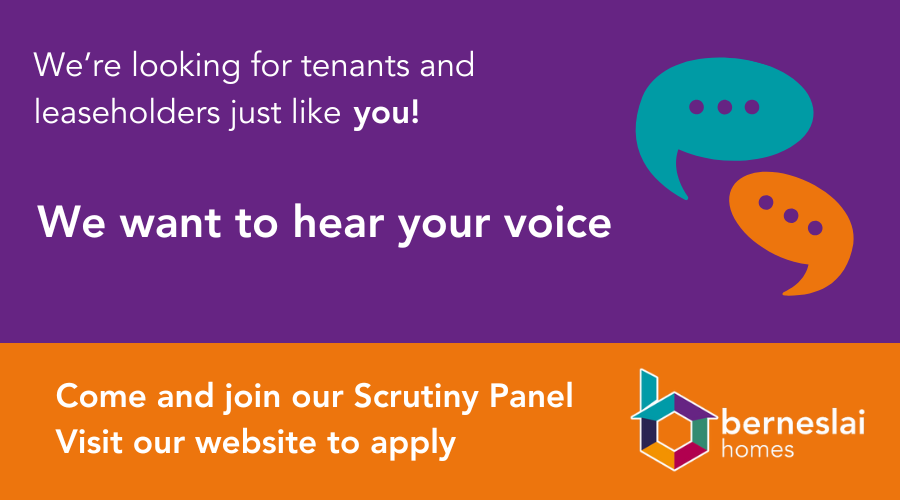 Scrutiny Panel Recruitment